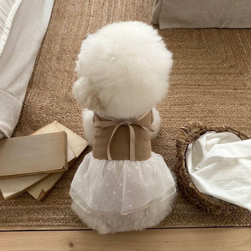 Vestido de encaje para mascota - Lace Teddy Lingerie reseña y precio